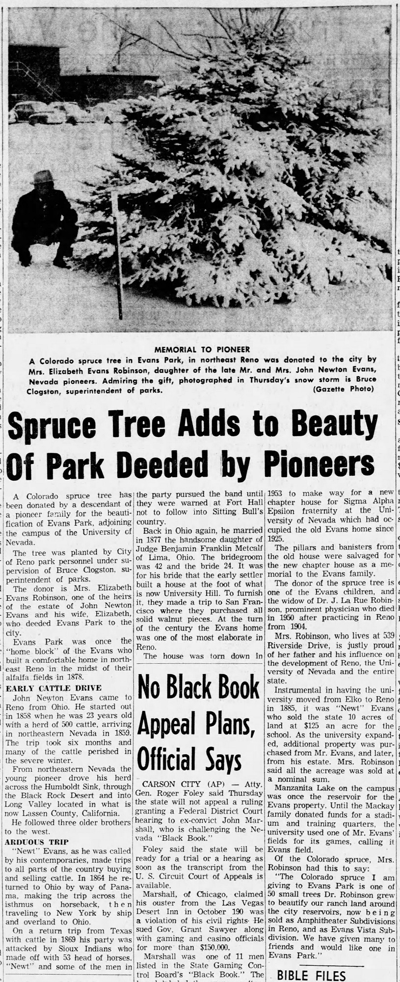 Evans family donates blue spruce tree to park.